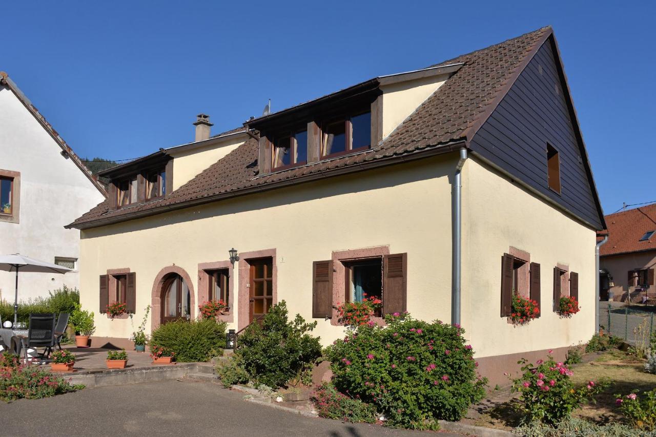 Appartement Au Gre Des Saisons à Thannenkirch Extérieur photo