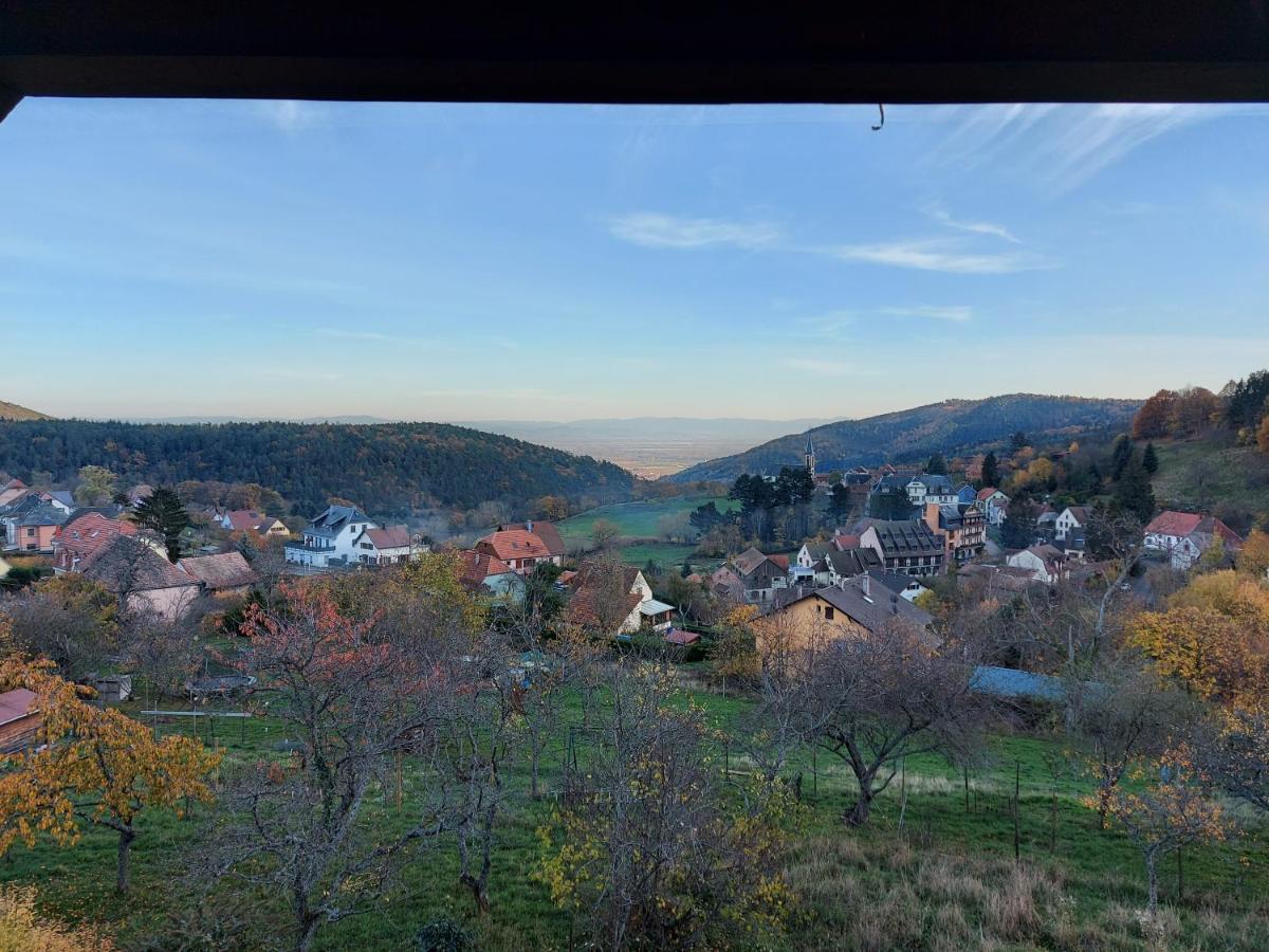 Appartement Au Gre Des Saisons à Thannenkirch Extérieur photo